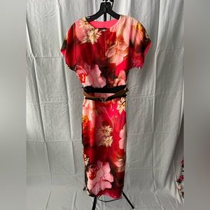 Ted Baker Rose on Canvas Print Dress size 1